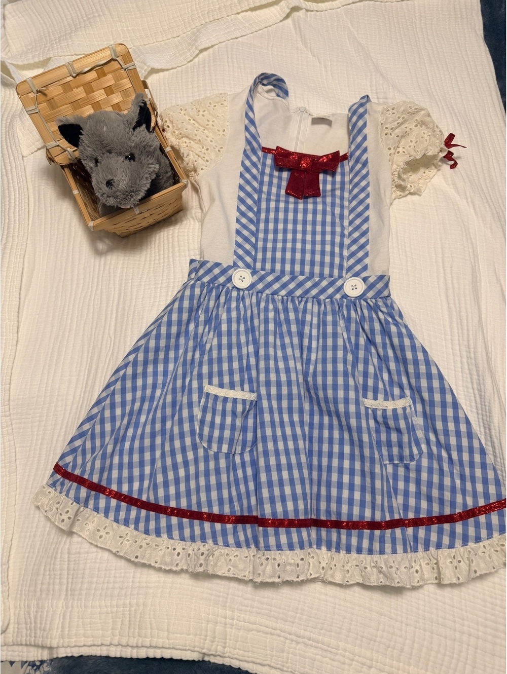 The Wizard of Oz Blue Gingham Dress with Red Bow and Lace Trim, Childs M - Picture 7 of 14